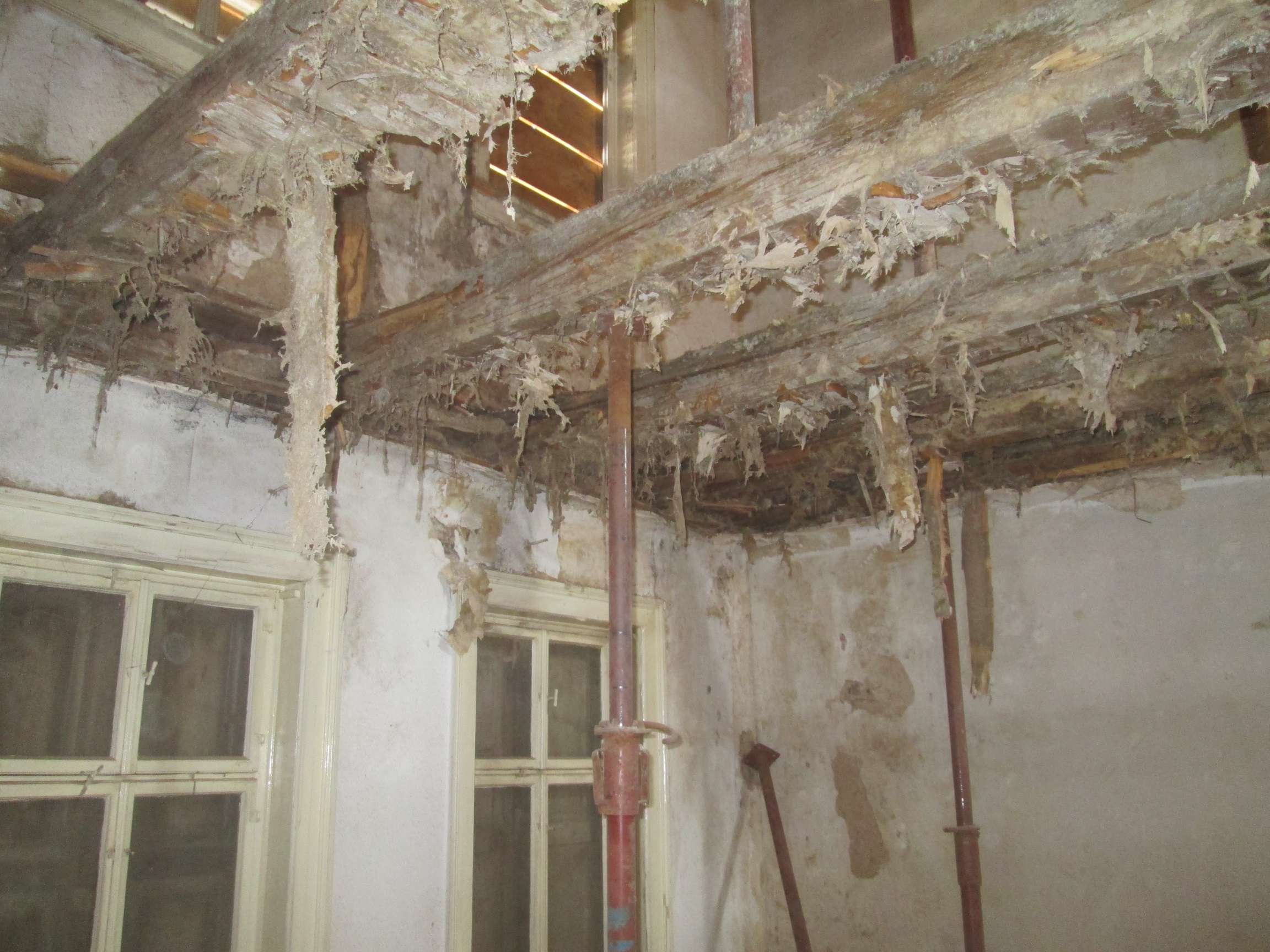 Decke mit Schwamm - elnos.de